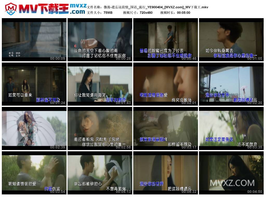 微漫-遗忘这段情_国语_流行_YE900404